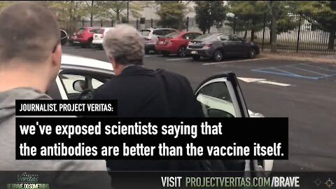 Exposed Pfizer's Chief Scientific saying that the antibodies are better than the vaccine itself.