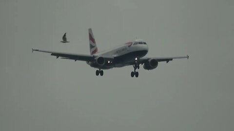 GIBRALTAR, Extreme Airport, British Airways Lands and Departs, 10 August 2022