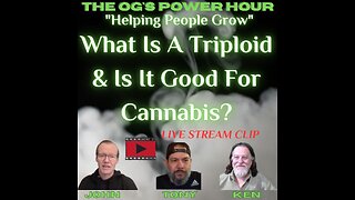 What Is A Triploid & Is It Good For Cannabis?