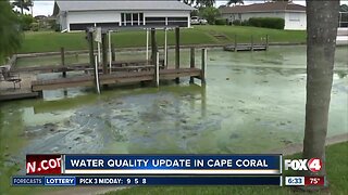 Water quality update in Cape Coral