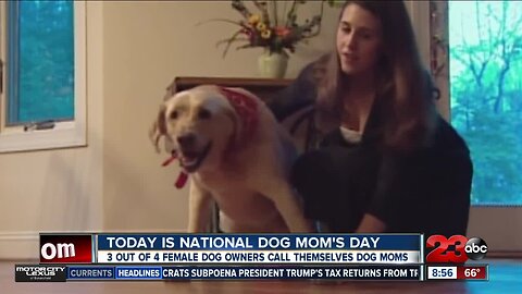 May 11 marks National Dog Mom's Day