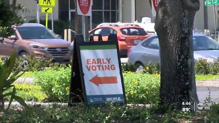 Key local elections in Tampa Bay area highlight August primary