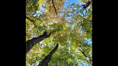 what fall looks like in North Carolina