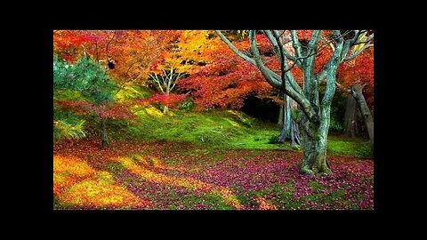 2 Hours of Autumn - Ambient, Minimalism, Piano Music