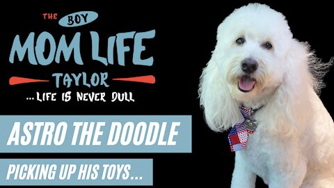 Boy Mom Life Astro the Doodle Picking Up Toys and Tricks