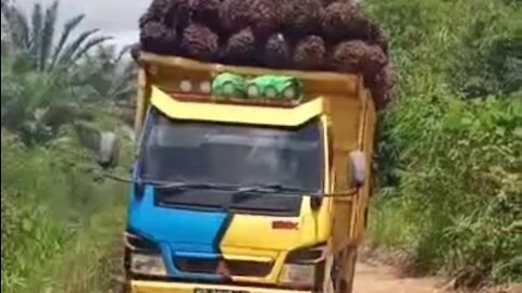 truck loaded with palm oil