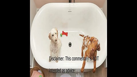 Bathtime Toaster(humorous promo)