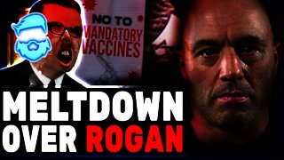 Media RAGE After Joe Rogan Shares Pro-Liberty Video! They Try To Gina Carano Him!