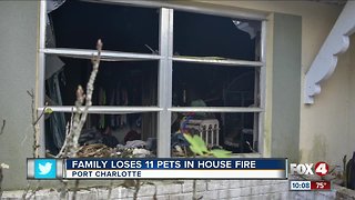 Family loses 11 pets in Charlotte County house fire