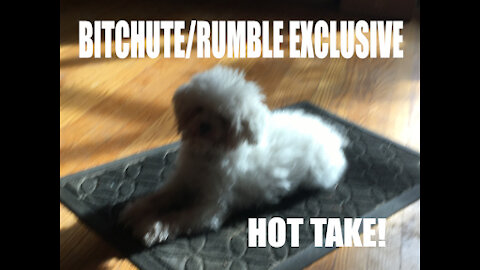Rumble/Bitchute Exclusive Hot Take: Coronavirus vs. Nicki Minaj