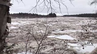 Is från Arktisk flyter genom kanadensisk flod