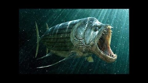 Ancient Sea Creatures - Ocean Monsters Documentary