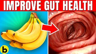 9 SUPERFOODS To Improve Your Gut Health & Digestion