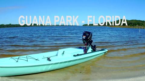 Massive Alligator Tries To Attack Powered Kayak