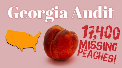 GEORGIA AUDIT: 17,400 Missing "Peaches"!
