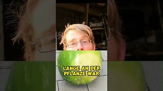 Daran erkennst du reife Wassermelonen 😍