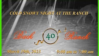 It was a cold snowy night at the Ranch!