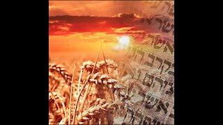 The Feast of Shavuot (Pentecost)