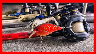 WHAT do I have RIGGED up RIGHT NOW and WHY! - Fall Bass Fishing