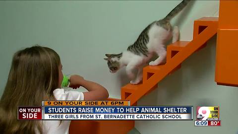 St. Bernadette Amelia students raise nearly $200 for animal shelter