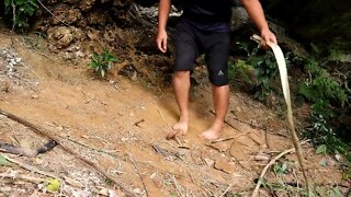 Using primitive tools, fire Wilderness Survival Challenge /17