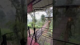 Disconnect with Namaste Wayanad 🇮🇳