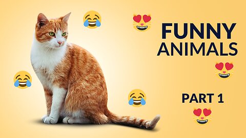 Funniest Animals 2024 😂😂😂 Funny Cats And Dogs 😻🐶 Have To Watch... (Part 1)