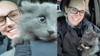 NHP trooper rescues kitten found on Interstate