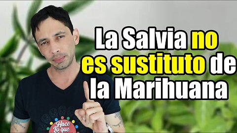 La Salvia No es Sustituto de la Hierba.