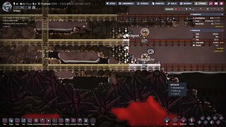 Oxygen Not Included 50 Dupes 500 Cycles 16