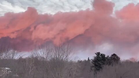 BREAKING NEWS: Estados Unidos estão passando pela maior catástrofe ambiental dos últimos 50 anos.