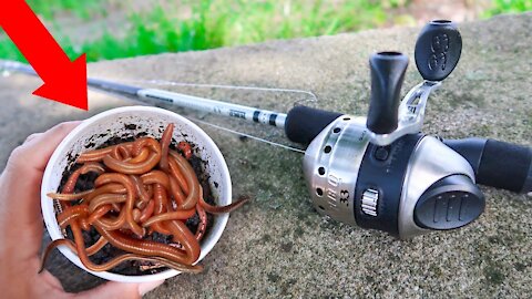 Fishing With GIANT Livebait WORMS (WALMART)