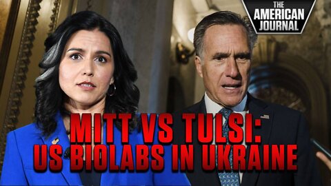Tulsi Gabbard And Mitt Romney Go Head-To-Head On Ukraine Bio-Labs