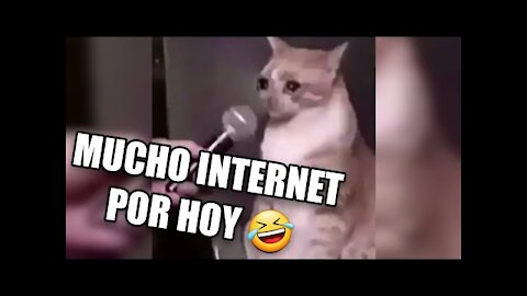 Los Mejores VIDEO MEMES RANDOM DE INTERNET #18, Videos De Risa SI TE RIES PIERDES (Funny Videos)