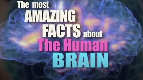 Jon Humanity - Elite Gender Inversion & The Brain Documentary (May 31, 2017)