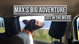 Leaving your dog in the wild - Montana Living