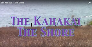 The Kahakai ~ The Shore