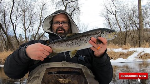 Catching GIANT Winter Brown TROUT