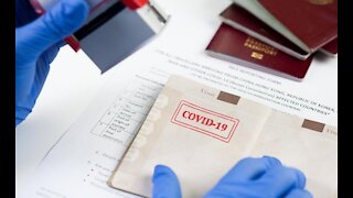 Vaccine Passports: The Horrific Idea of 'Show Your Papers'