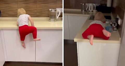 Athletic 1-year-old parkours the kitchen counter easily