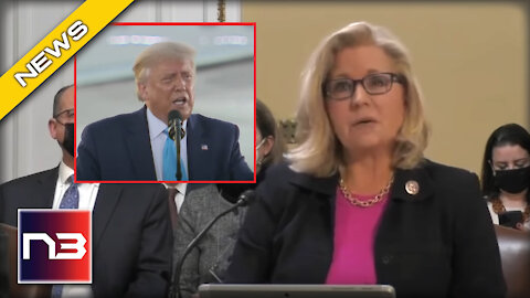 Trump BLASTS J6 Committee With the Obvious, Causes Liz Cheney to Flip Her Lid