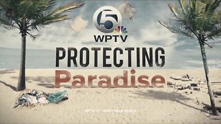 WPTV launches Protecting Paradise, a yearlong focus on environmental issues in South Florida