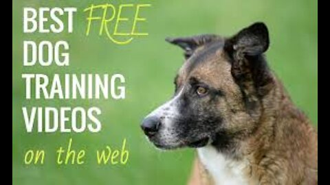 Treatless Dog Training Secrets By Anthony Louis