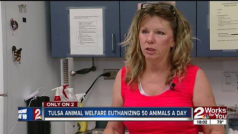 Tulsa Animal Welfare euthanizing due to lack of room