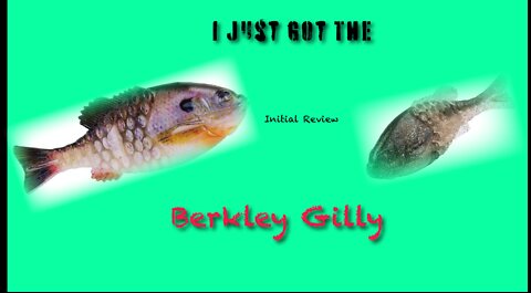 Hot Bait Alert! Berkley Gilly