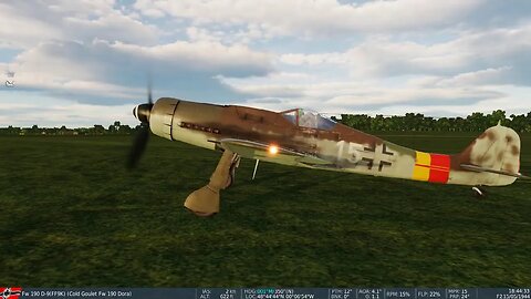 FW190D-9 Ace In A Flight 6 Kills (DCS)