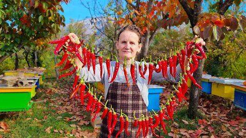 Harvesting Vegetables Grown in Our Garden for a Delicious Traditional Dish | Village Life