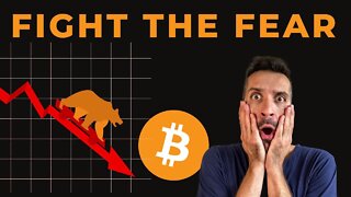 Bitcoin Bear Markets for Beginners