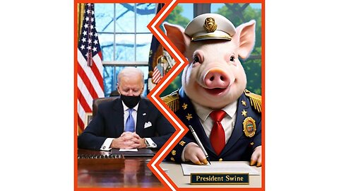 Piggy vs Joe