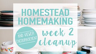Homestead Homemaking | Week 2 Cleanup & Subscriber Encouragement